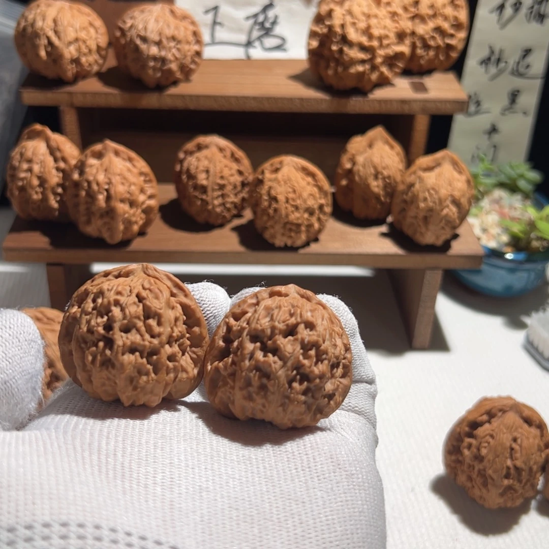 核桃全品无修 38 白狮子