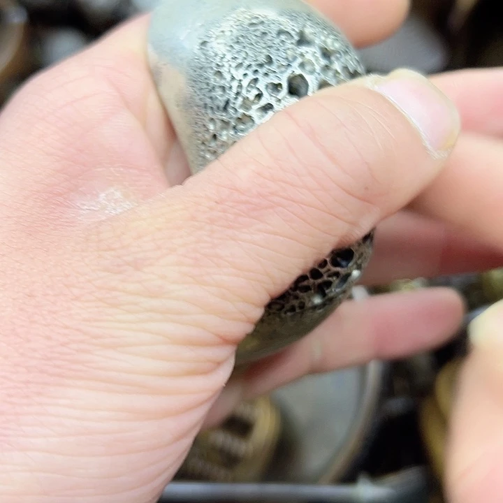 铜铜铜器直播间铜