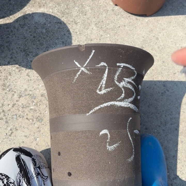 紫砂花盆紫砂的花