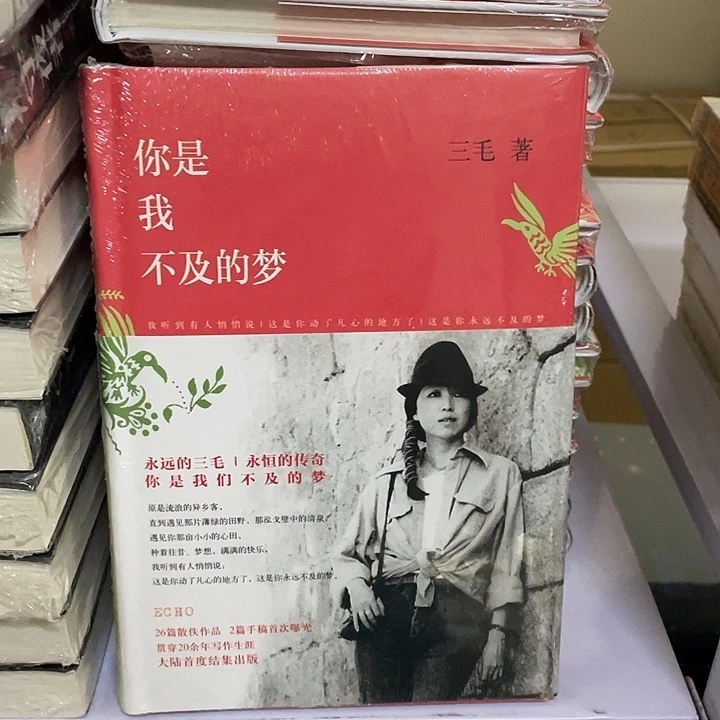 你是我不及的梦  精装带塑封