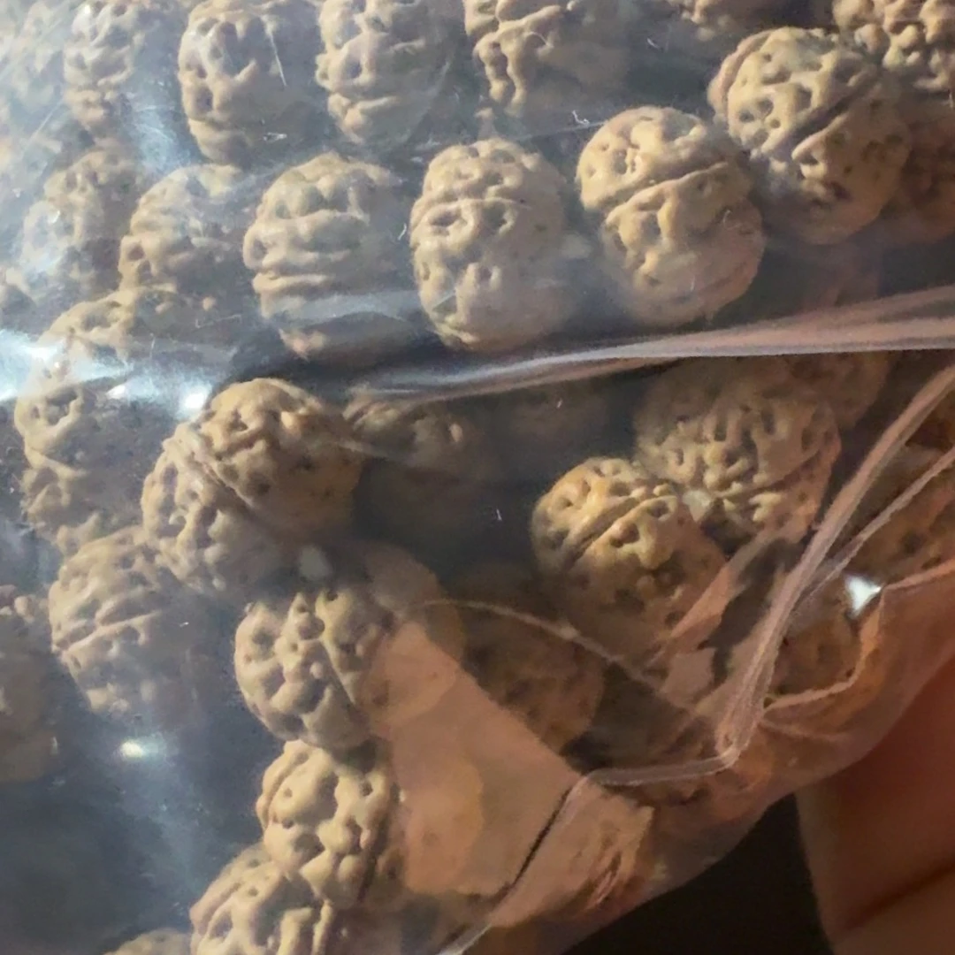 金刚菩提吊坠勿里达老树王