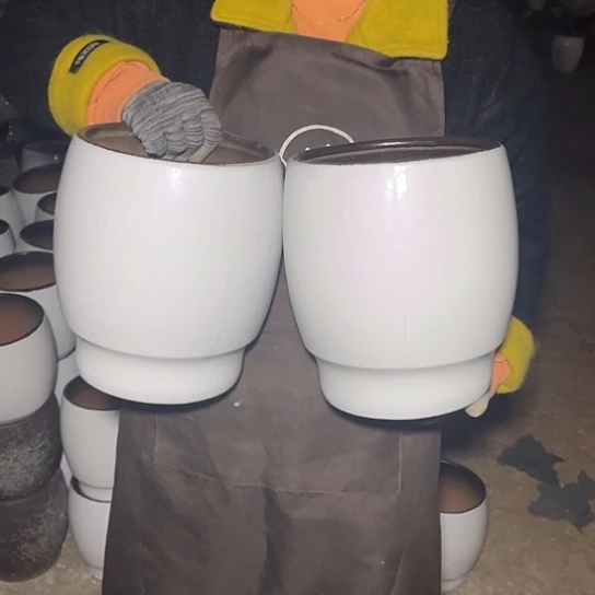 红陶口19高24瑕疵