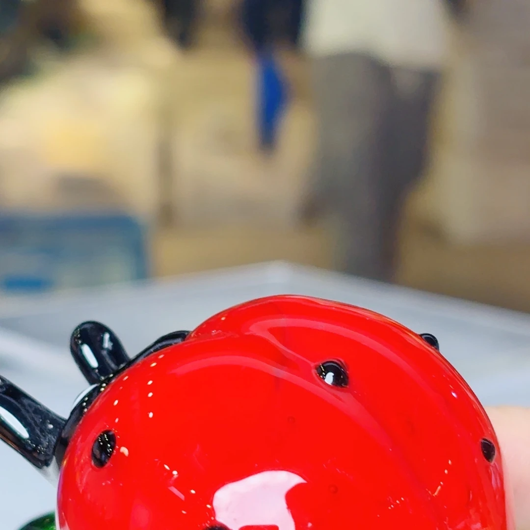 茶宠琉璃岛上有个叫小白