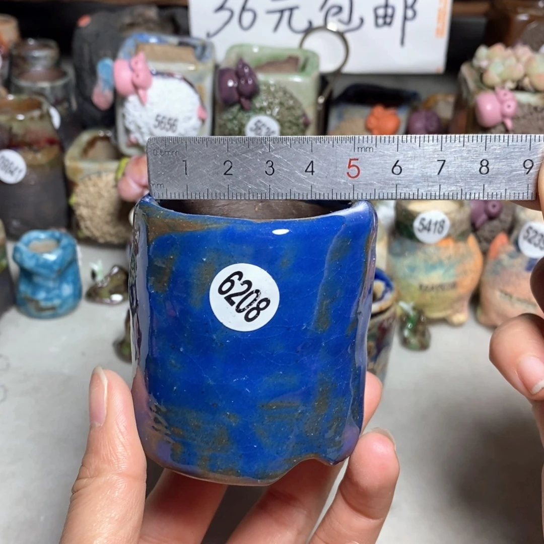 拍3送一个小礼物