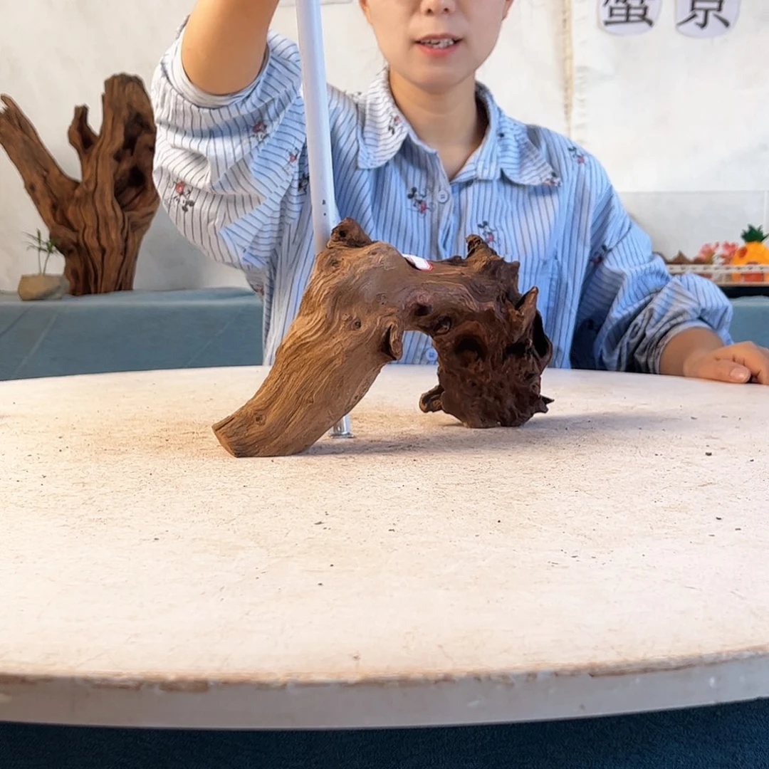 沉木造景寄居蟹景