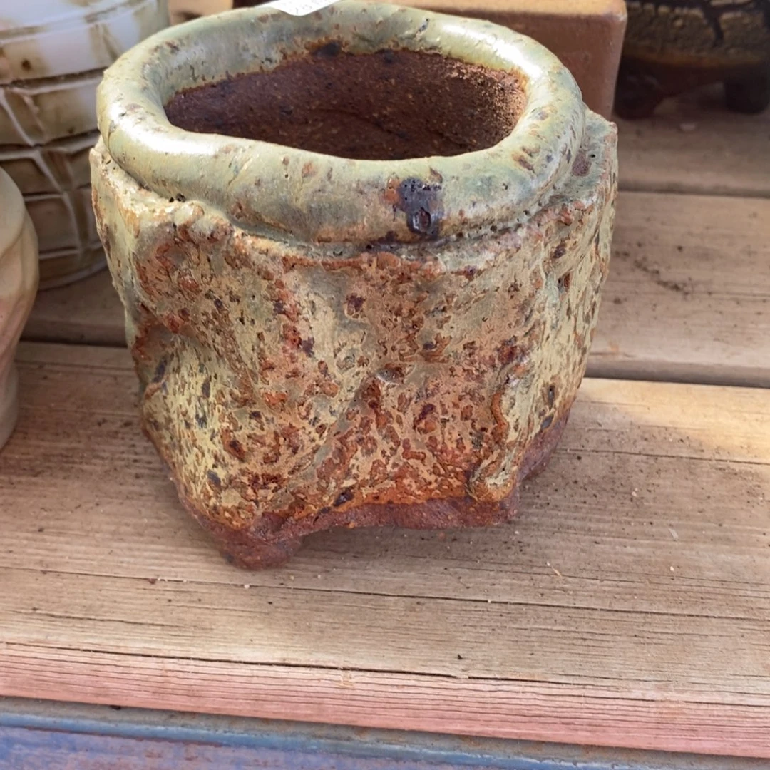 78）号多肉盆口径7小可爱