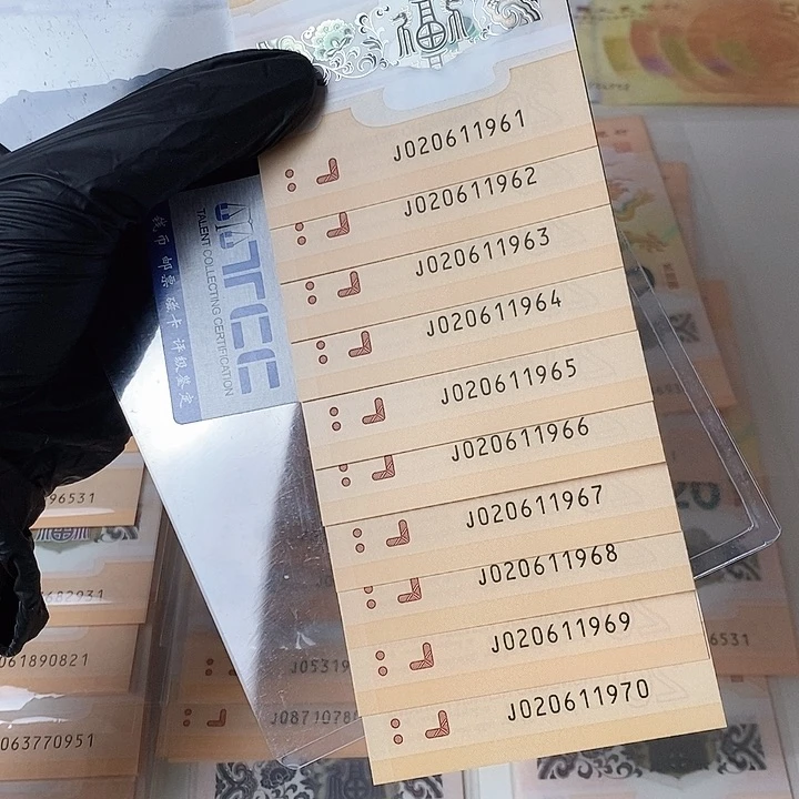 塑料朦胧双年份号020611961