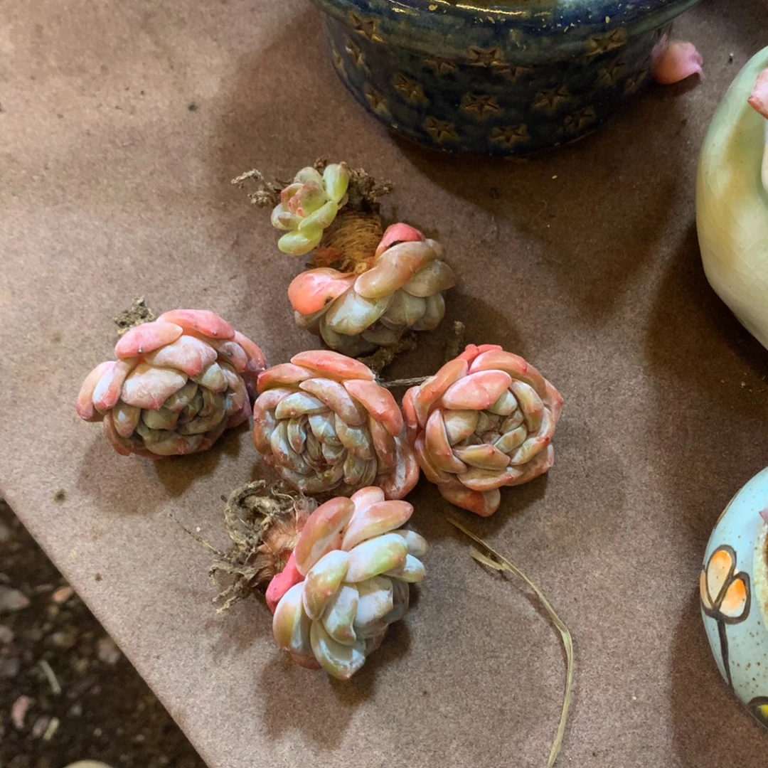 时***老哈哈哈哈哈哈哈哈哈哈