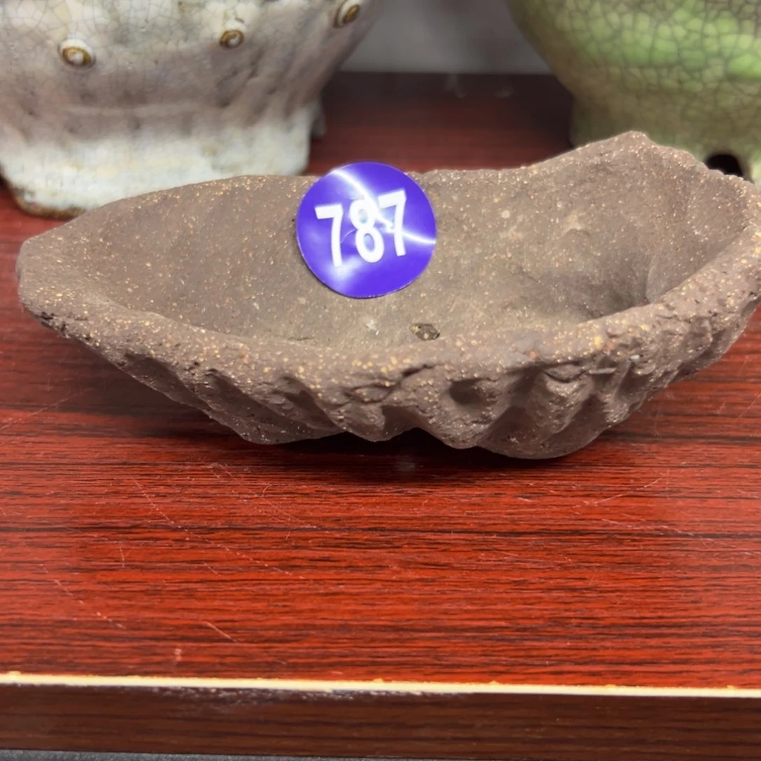 红陶咪**悠红红火火过大年787