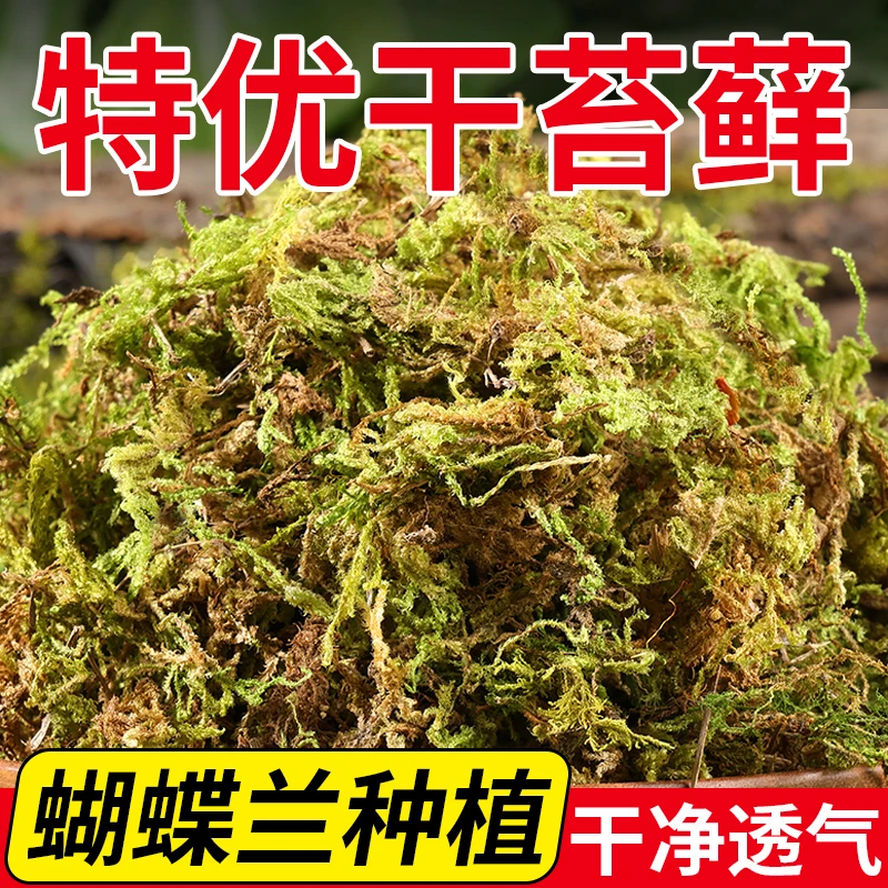 干苔藓水苔青苔兰花蝴蝶兰石斛种植专用营养土植料乌龟水台