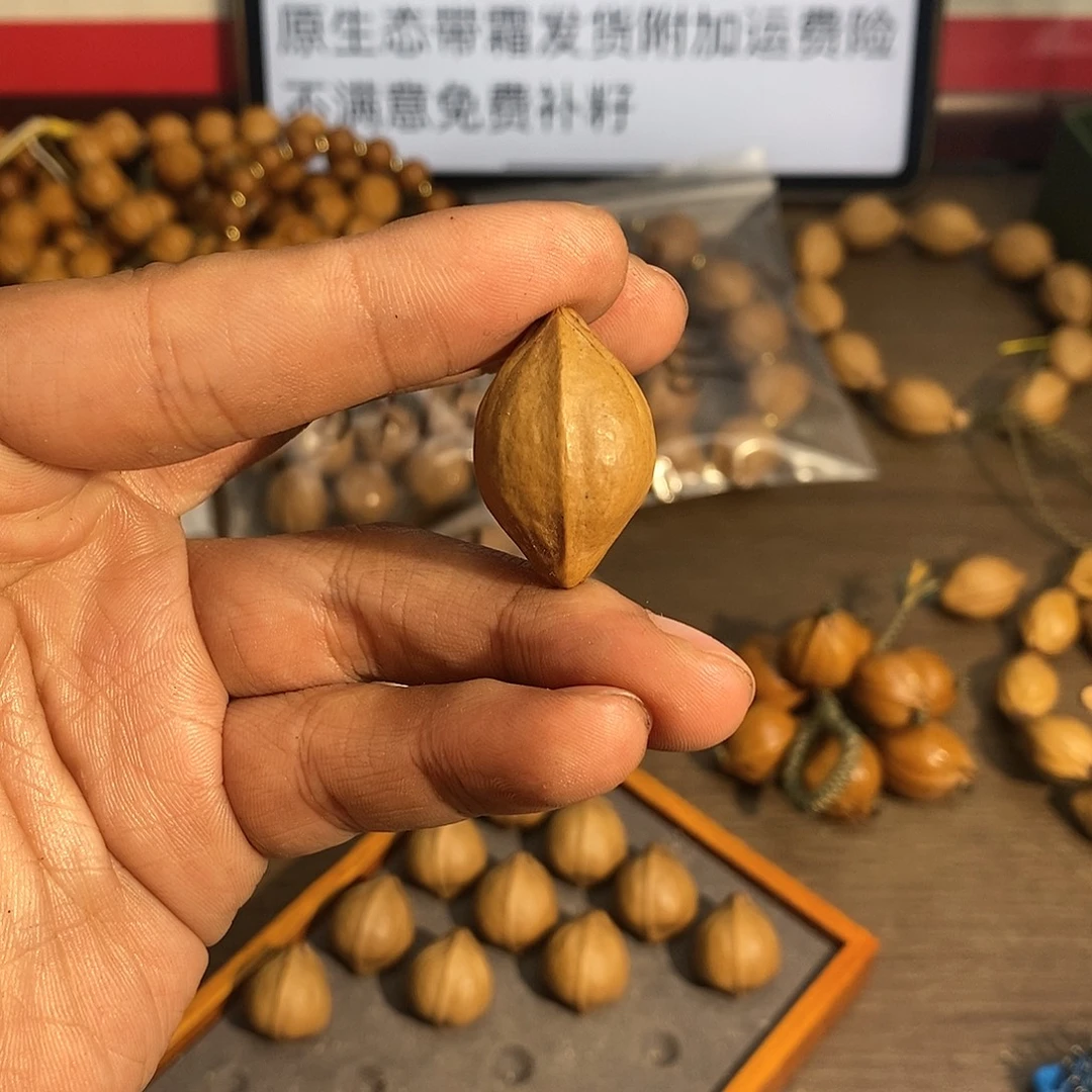 随***便橄榄核手串19单颗三通