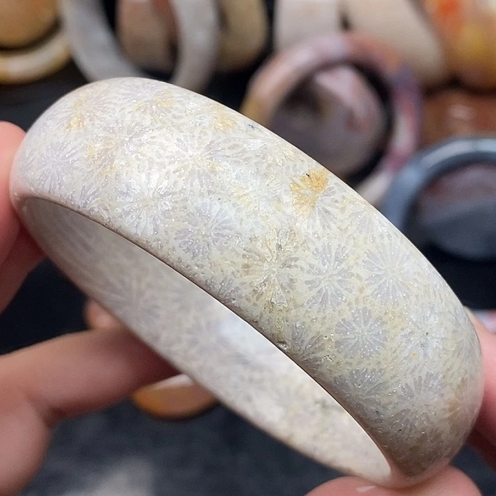 硅化玉未镶嵌颈饰64