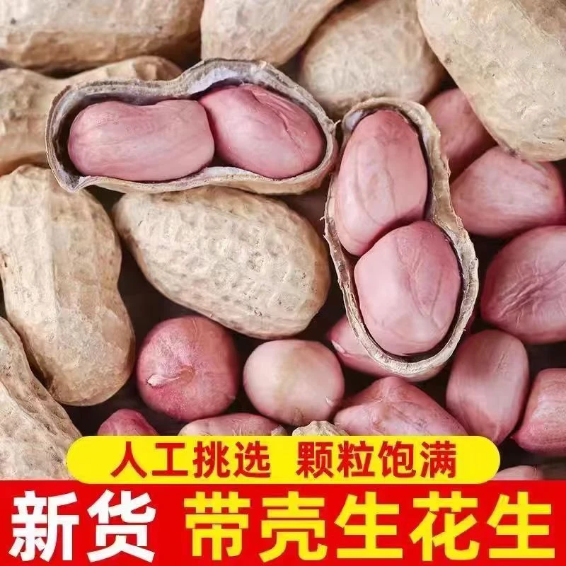 原味花生带壳零食2斤