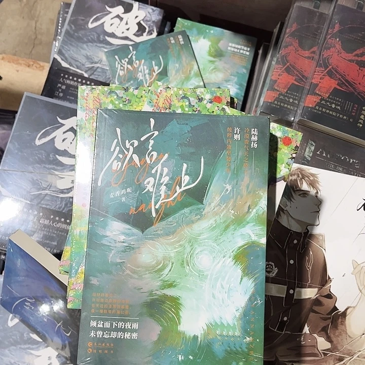 欲言难止全新两本一套
