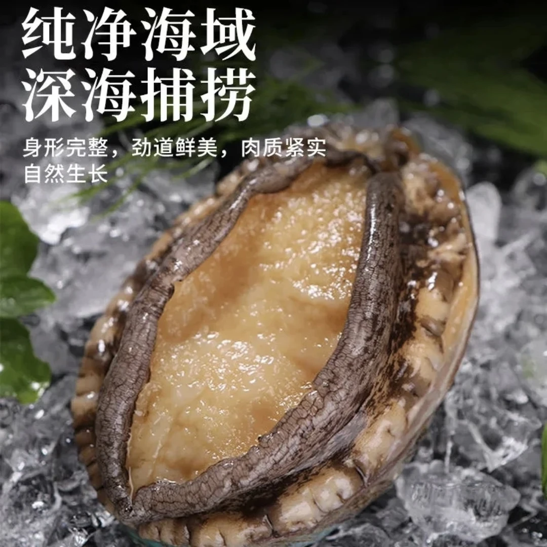 鲍总管【阿贵】东山岛速冻7-9头鲍6cm以上九孔鲍鱼冷冻海鲜水产