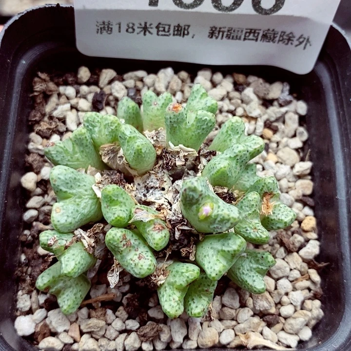 4606。