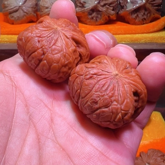 孤品土豪级铁锤蟒蛇
