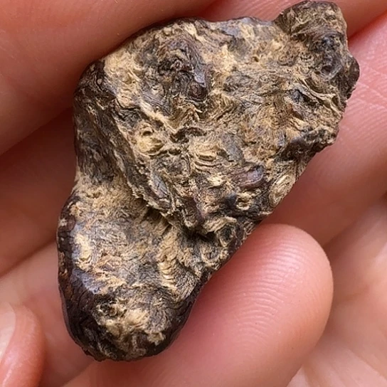 静水静水老挝沉水纽结2.4克！！！