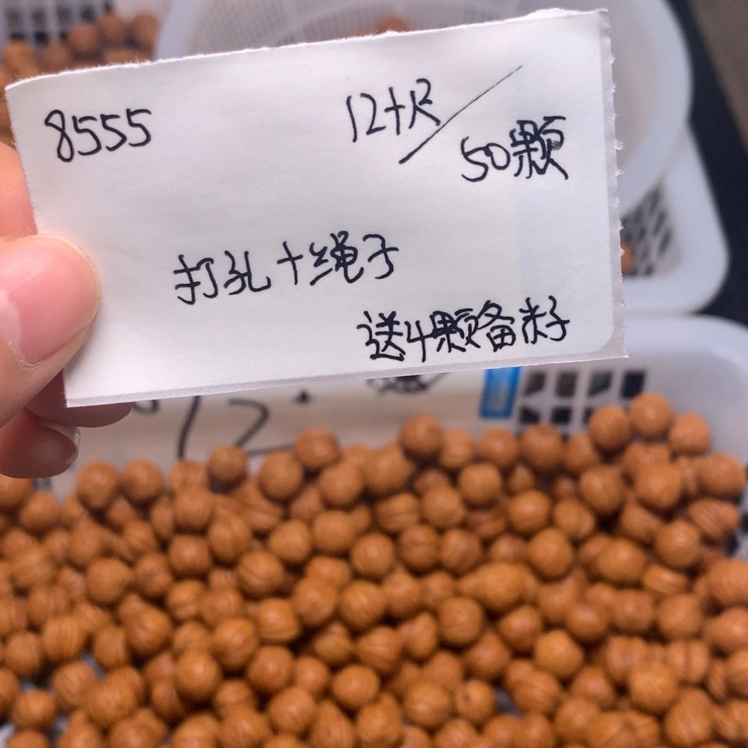 小馒头12➕尺50颗籽