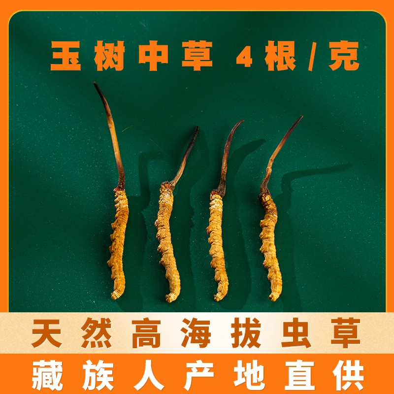 【玉树中草4根/克】草小二天然虫草 玉树官方旗舰店藏族人产地直供