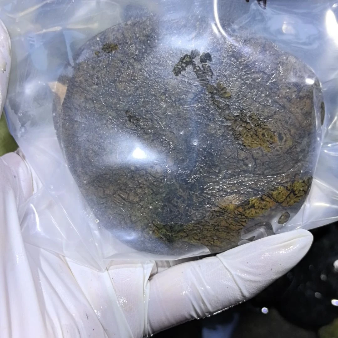 文***阁藏玉药王石原石一个摆件