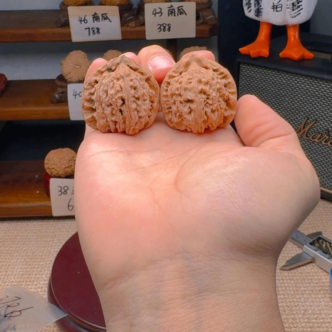 文玩核桃把件3706白狮子