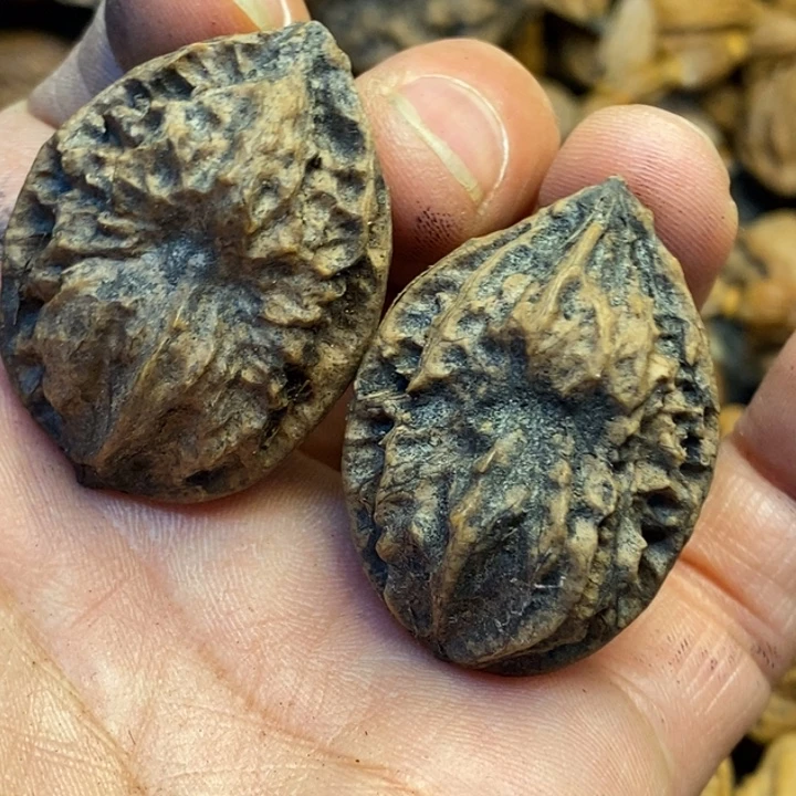 文玩核桃吊坠娜姐118