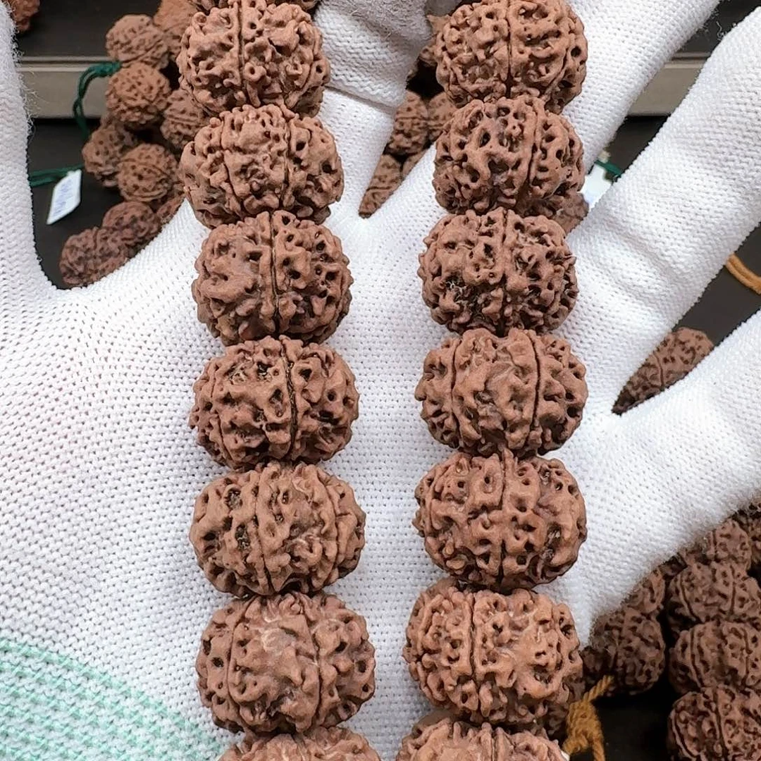 金刚菩提手串21天然纽扣六瓣