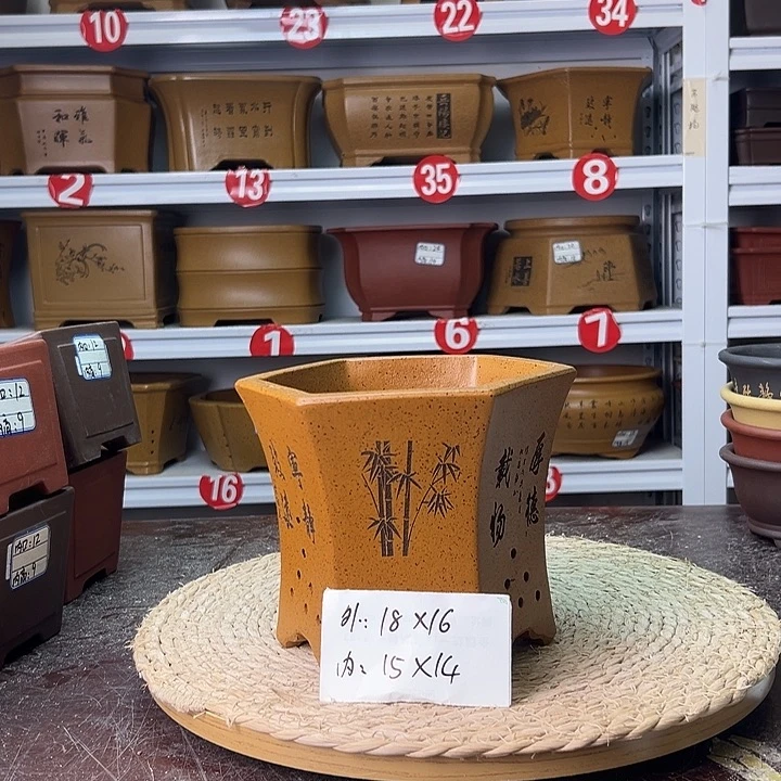 紫砂花盆蛇年大吉