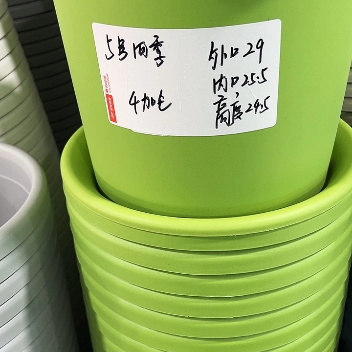 特价5号四季口29高24.5果绿色5个无托