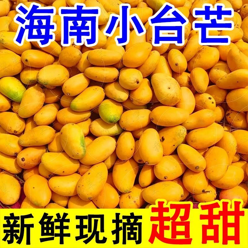 海南芒果10斤一箱小台芒整箱批发小台农芒果水果产地直发5斤1斤