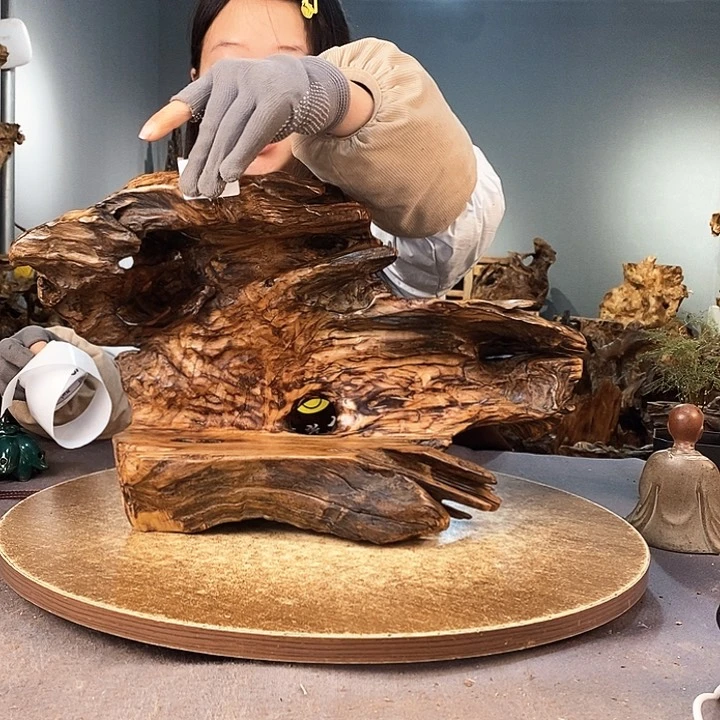 茶盏乐*事931株木的随行的根艺