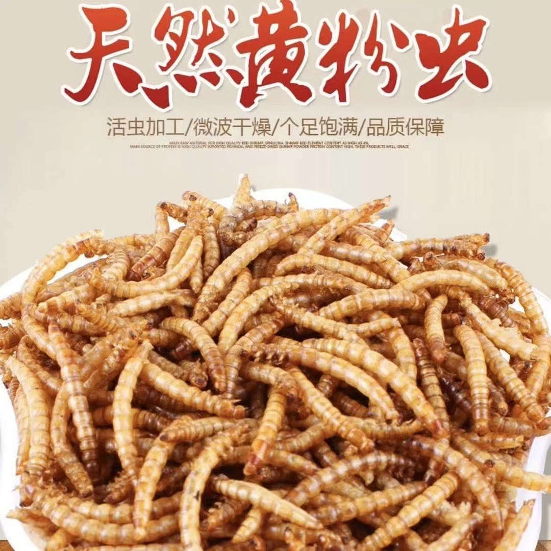 [虫干]黄粉虫干饲料批发成年可作金龙鱼银龙鱼鸟食乌龟宠物粮食