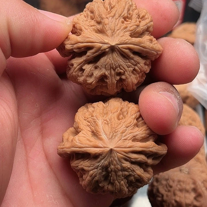 把件文玩核桃粗筋43.8