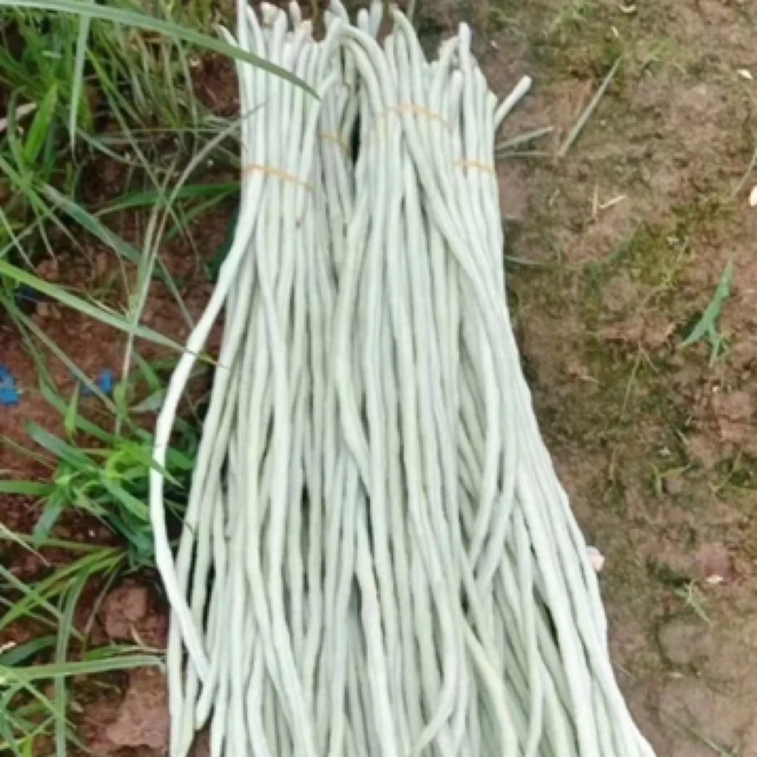 上饶玉山本地农家自种新鲜现采现发脆嫩白长豇豆角蔬菜