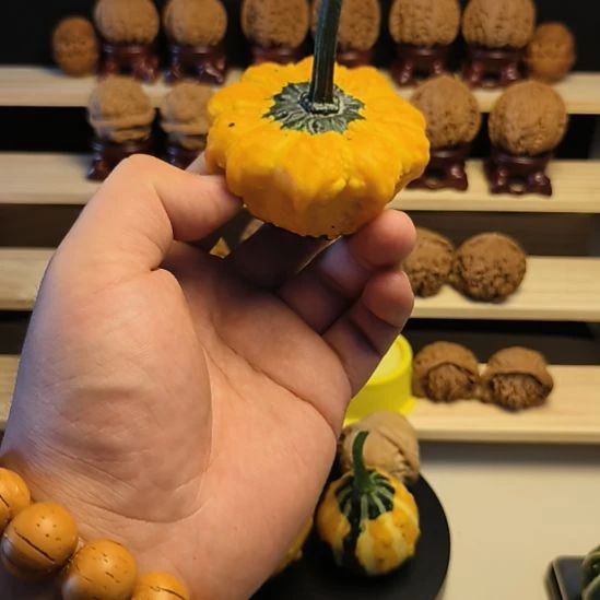 福利品墨西哥七彩葫芦