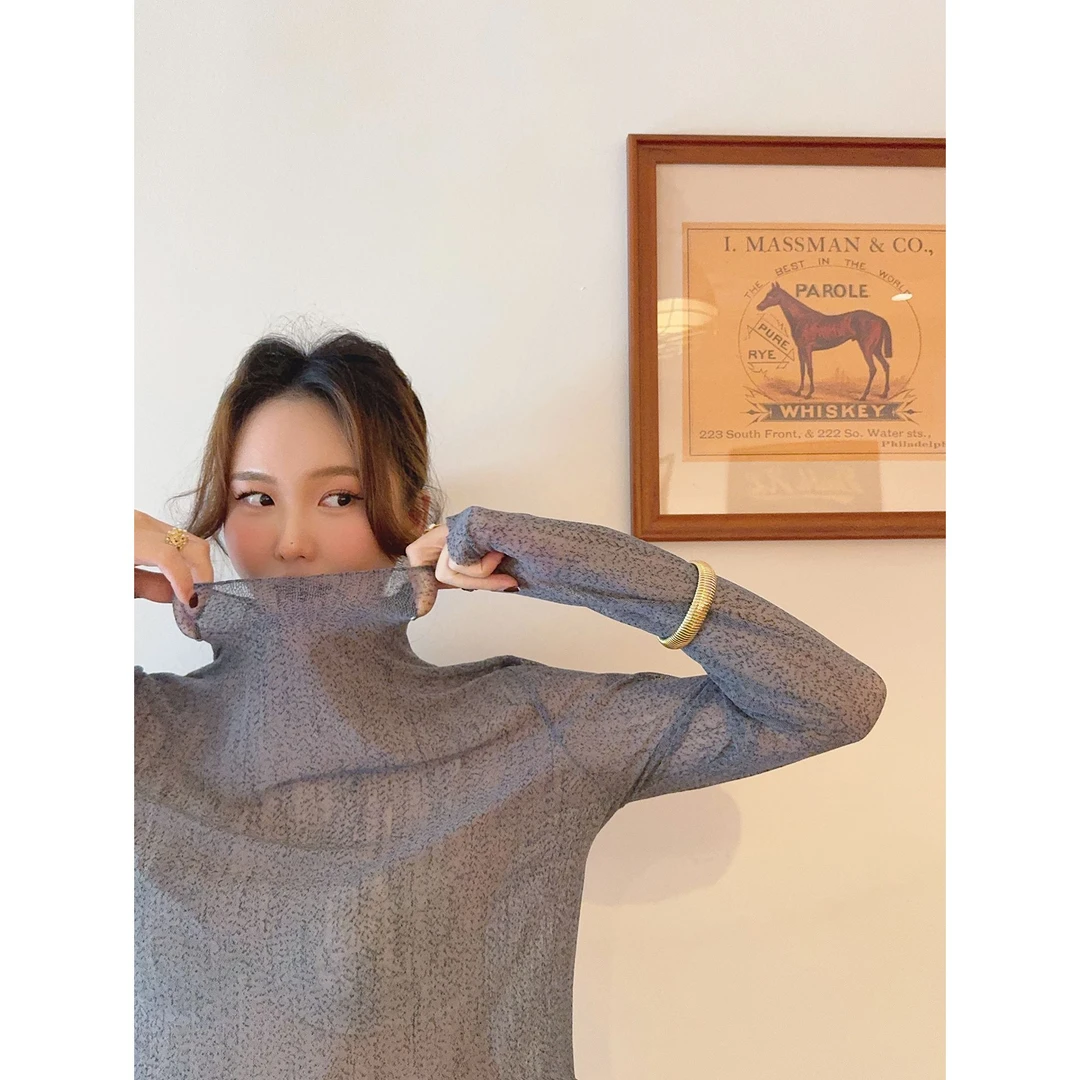 智英欧尼 网纱内搭【高领弹力内搭长袖T恤打底衫高级感女百搭】