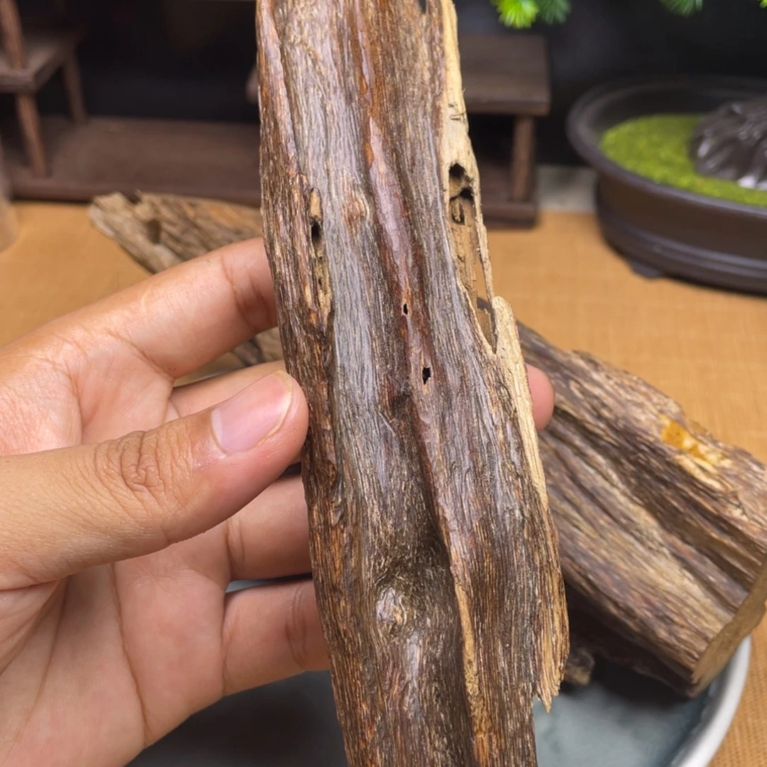 蜜***活香榧木41克海南大山虫漏