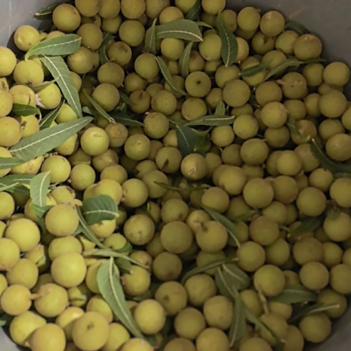 言***信猴头核桃手串凤羽青皮拍50送50颗