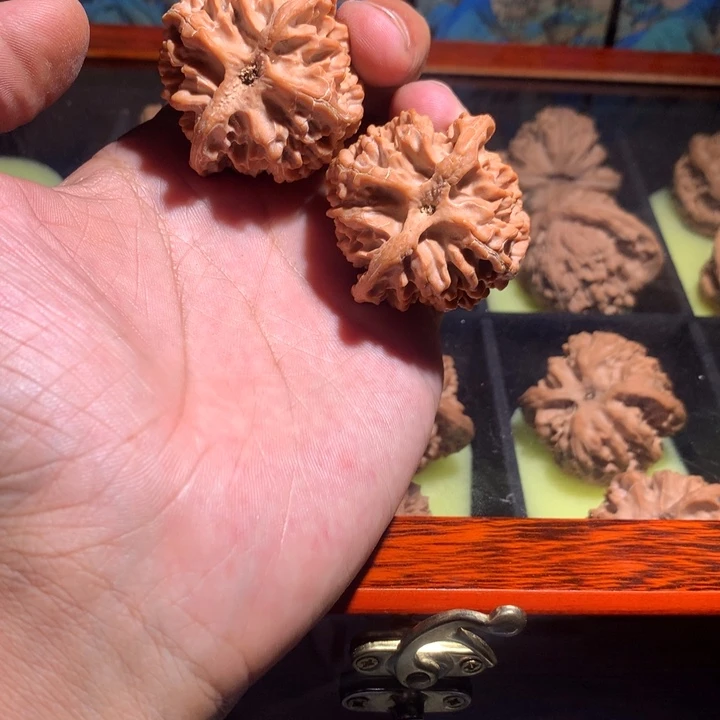 想***子手串/手链核桃42毕业苹果