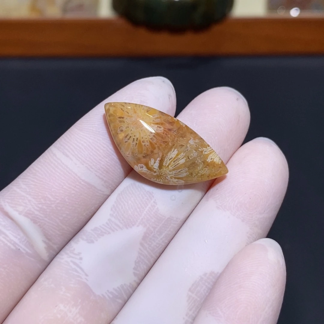 【闪购商品】未镶嵌珊瑚玉硅化玉