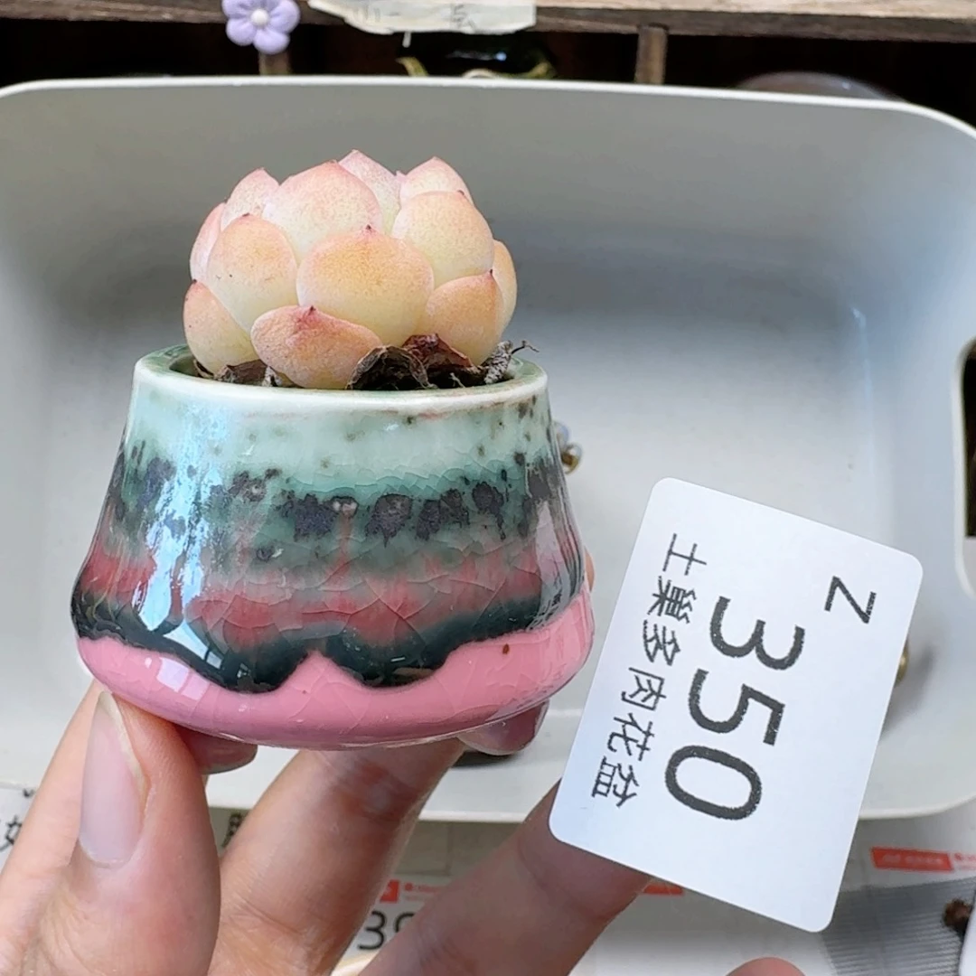 陶瓷工艺与艺术设计