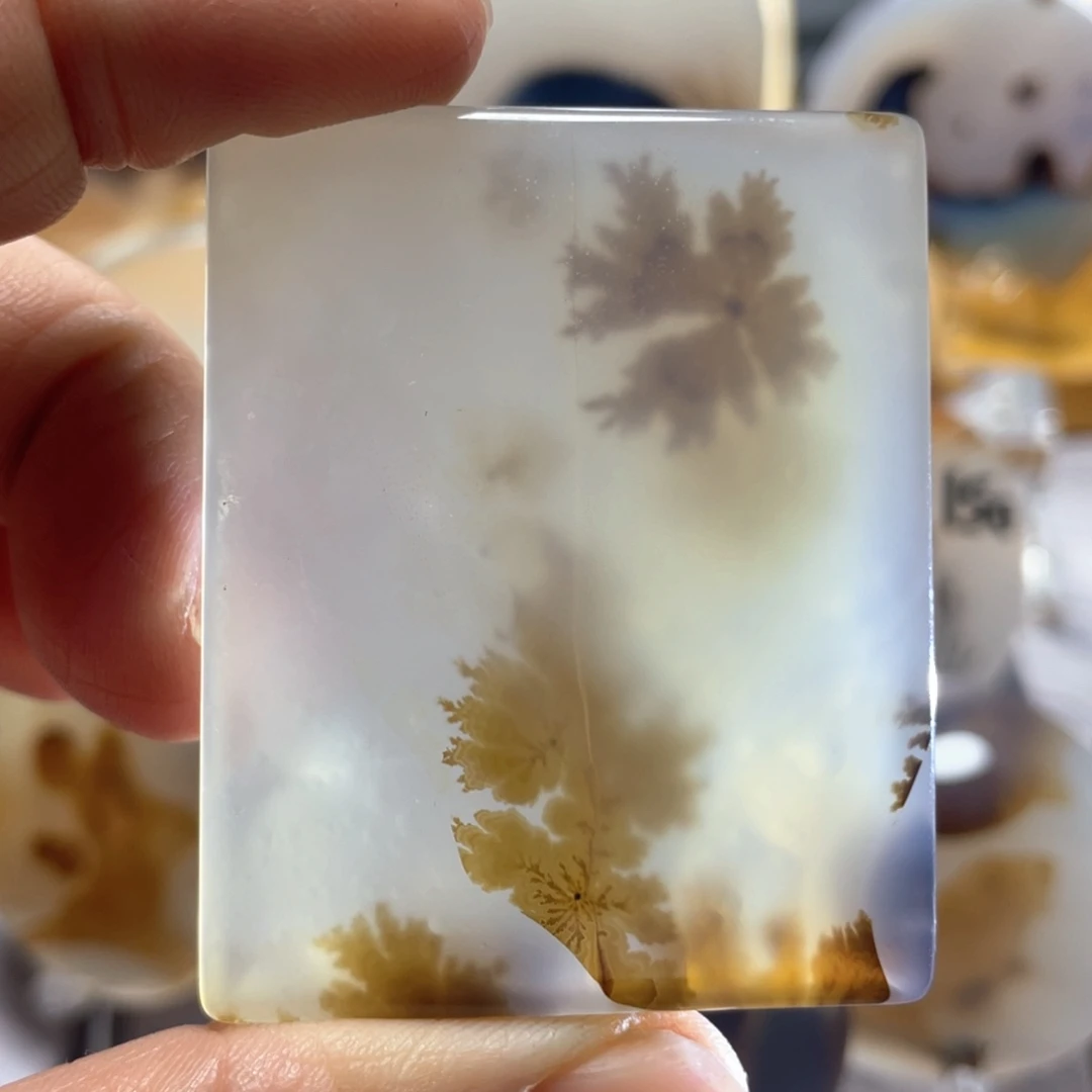 【闪购商品】玛瑙/玉髓颈饰合金