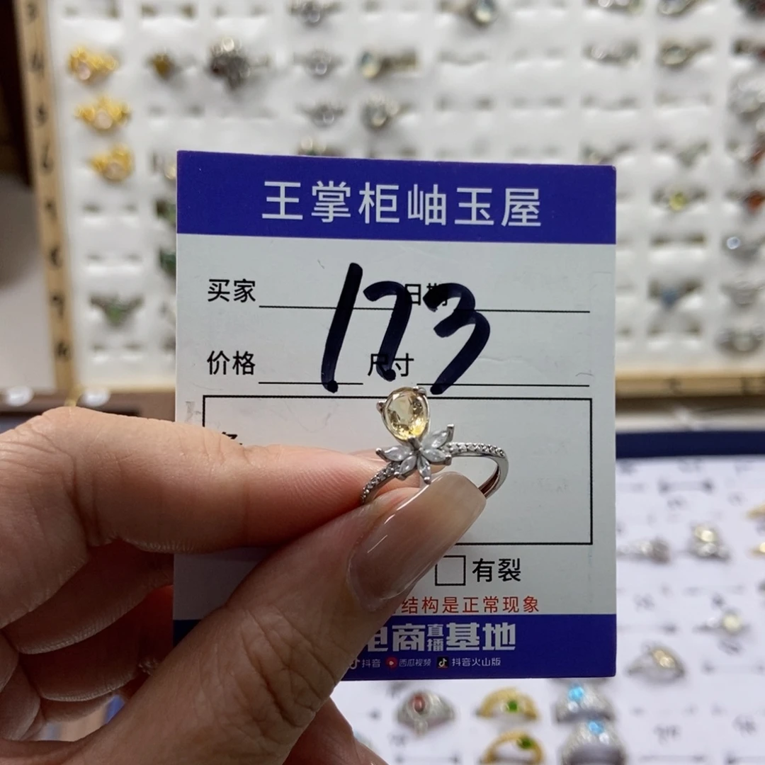 银S925镶嵌颈饰水晶