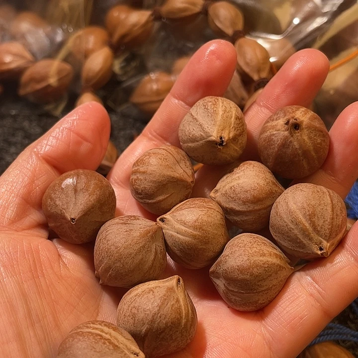 耀***扬吊坠橄榄核2.0✖️2.2