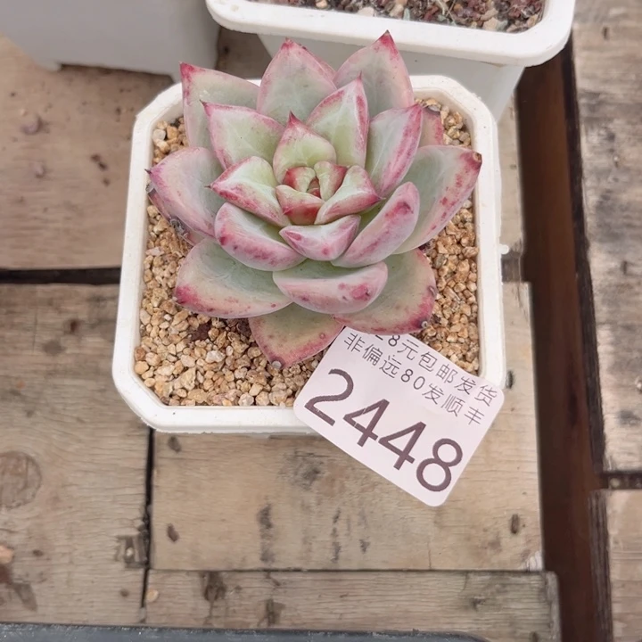 倪***大16.99jhhhhhhhhh