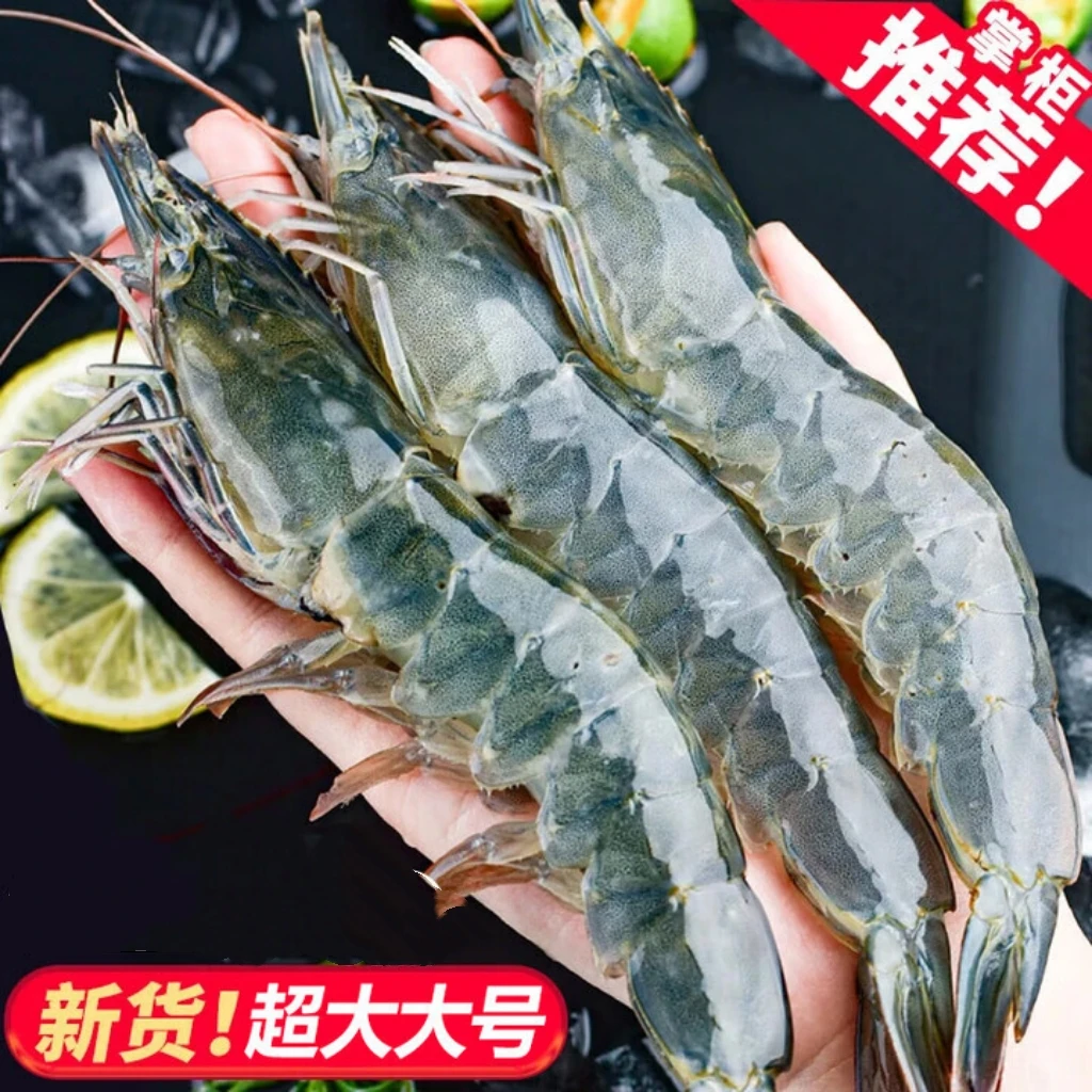 15 - 18头左右大大号活虾+26-27头左右小号活虾—故渊生态渔业