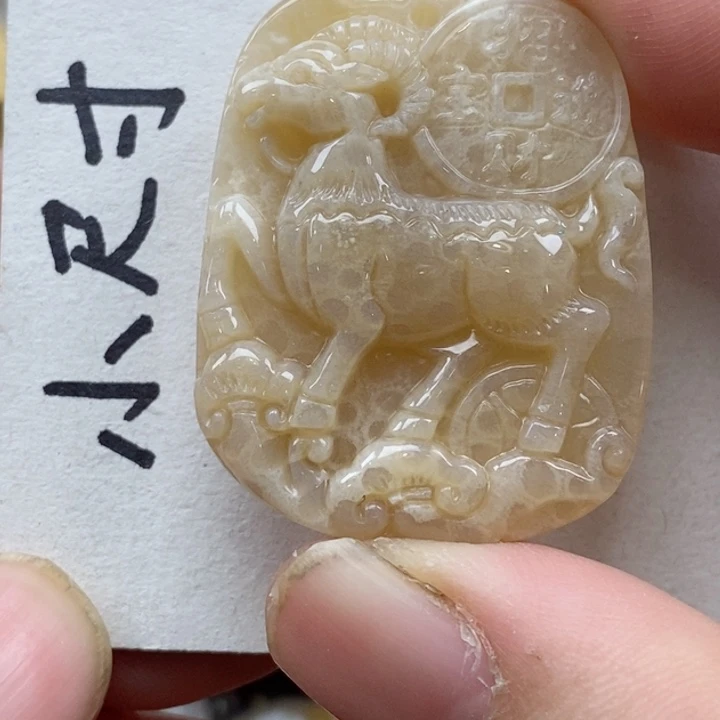 颈饰未镶嵌硅化珊瑚（珊瑚玉）