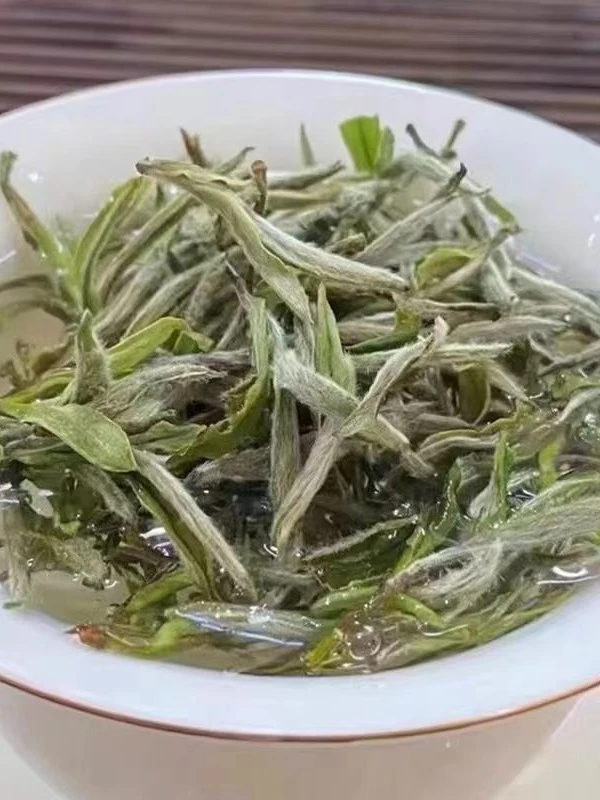 2025年牡丹王老树明前高质量福鼎白茶磻溪核心产区