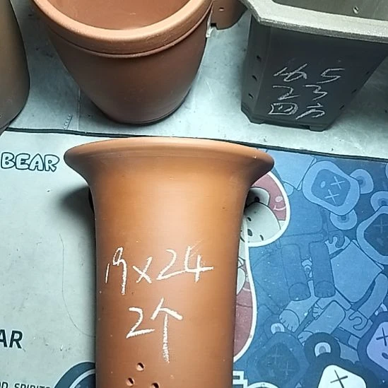 大红兰花两个花盆